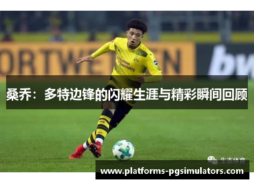 桑乔：多特边锋的闪耀生涯与精彩瞬间回顾