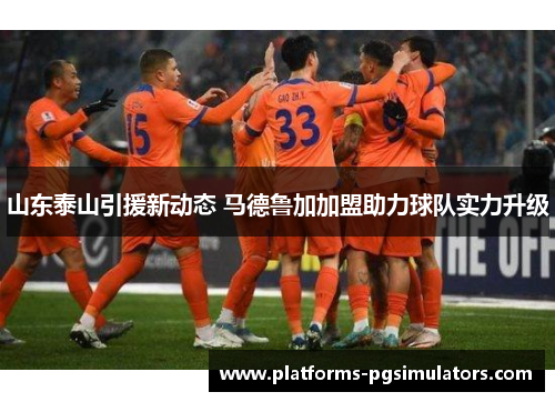 山东泰山引援新动态 马德鲁加加盟助力球队实力升级