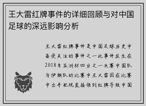 王大雷红牌事件的详细回顾与对中国足球的深远影响分析