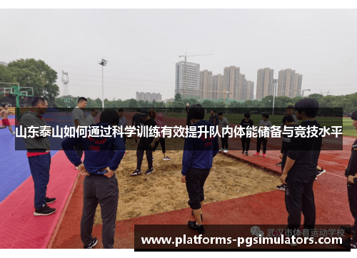 山东泰山如何通过科学训练有效提升队内体能储备与竞技水平