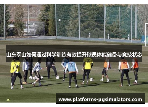山东泰山如何通过科学训练有效提升球员体能储备与竞技状态
