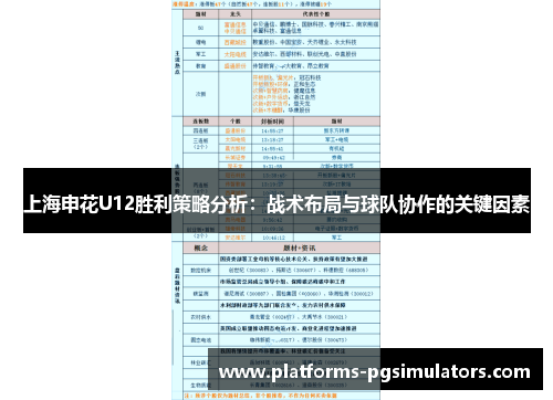 上海申花U12胜利策略分析：战术布局与球队协作的关键因素