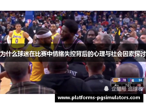 为什么球迷在比赛中情绪失控背后的心理与社会因素探讨