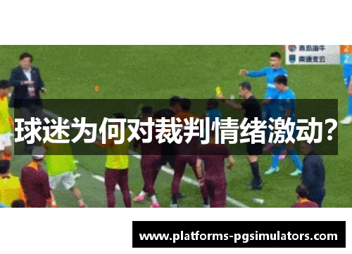 球迷为何对裁判情绪激动？