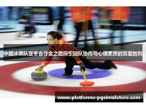 中国冰壶队亚冬会夺金之路探索团队协作与心理素质的双重胜利