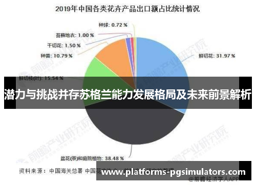 潜力与挑战并存苏格兰能力发展格局及未来前景解析