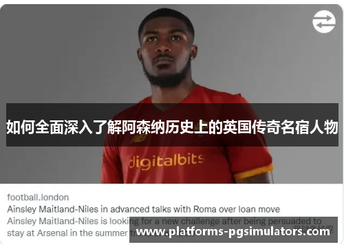 如何全面深入了解阿森纳历史上的英国传奇名宿人物