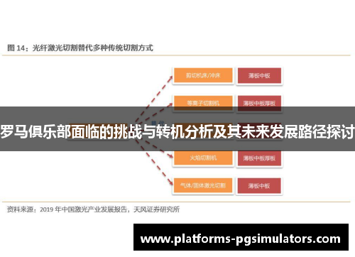 罗马俱乐部面临的挑战与转机分析及其未来发展路径探讨