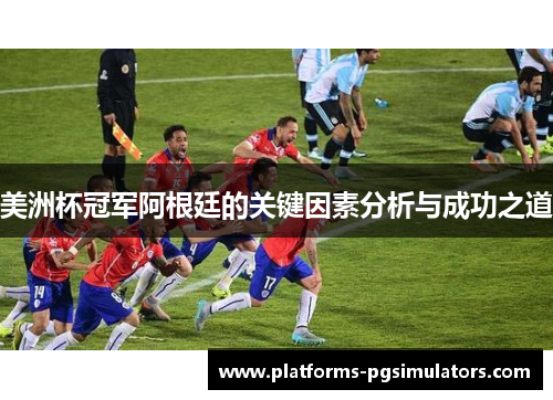 美洲杯冠军阿根廷的关键因素分析与成功之道