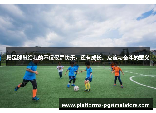 踢足球带给我的不仅仅是快乐，还有成长、友谊与奋斗的意义
