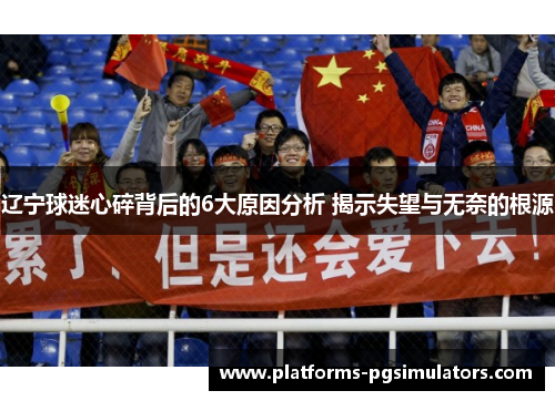辽宁球迷心碎背后的6大原因分析 揭示失望与无奈的根源