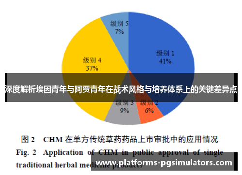 深度解析埃因青年与阿贾青年在战术风格与培养体系上的关键差异点