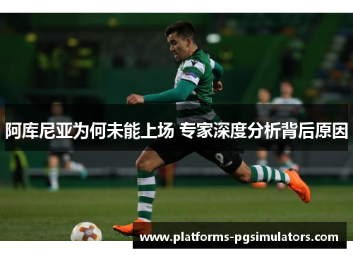 阿库尼亚为何未能上场 专家深度分析背后原因
