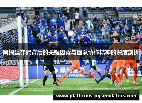 阿根廷夺冠背后的关键因素与团队协作精神的深度剖析