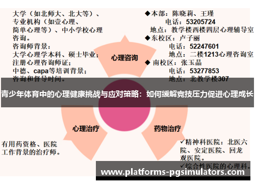 青少年体育中的心理健康挑战与应对策略:如何缓解竞技压力促进心理成长 青少年体育中的心理健康挑战与应对策略:如何缓解竞技压力促进心理成长