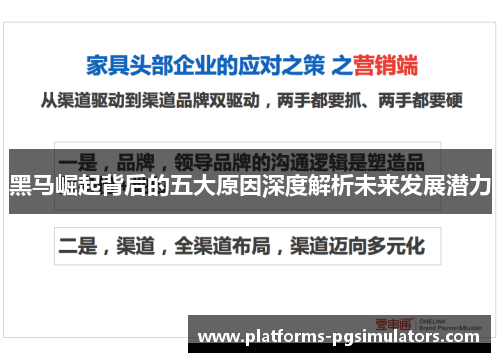 黑马崛起背后的五大原因深度解析未来发展潜力