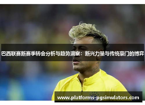 巴西联赛新赛季转会分析与趋势洞察：新兴力量与传统豪门的博弈