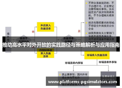 推动高水平对外开放的实践路径与策略解析与应用指南