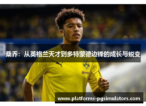 桑乔：从英格兰天才到多特蒙德边锋的成长与蜕变