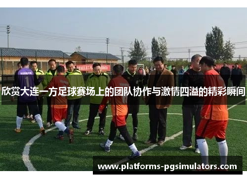 欣赏大连一方足球赛场上的团队协作与激情四溢的精彩瞬间